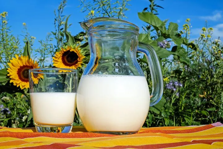 Производители молока Кемеровской области получают субсидии - Минсельхоз 