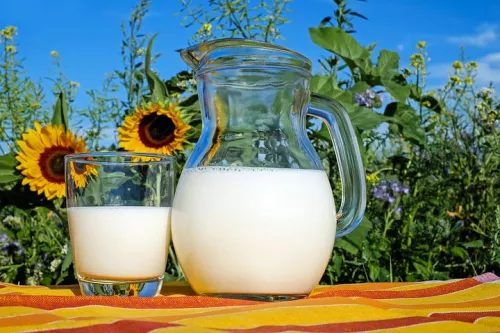 Минсельхоз: Сельхозорганизациям Кузбасса возмещена часть затрат на закуп молока 